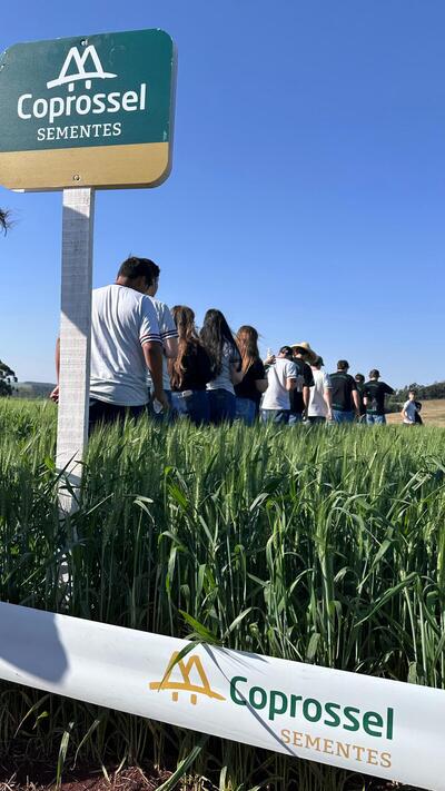 Programa vivenciando a prática aproxima estudantes da realidade do campo 